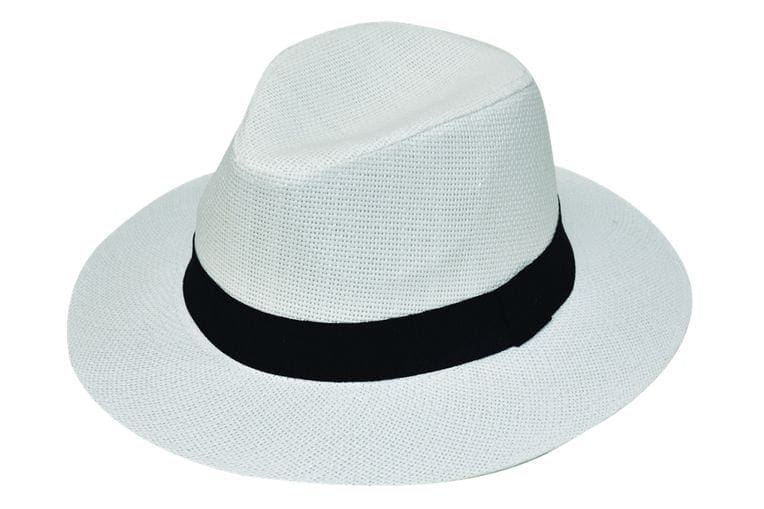 Ψάθινη Fedora Stamion
